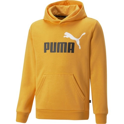 Puma Džemperis Paaugliams Ess+ 2Col Big Logo Yellow 586987 39