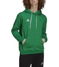 Džemperis Adidas Entrada 22 Sweat Hoodie, žalias