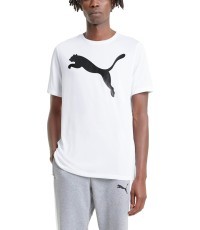 Puma Marškinėliai Vyrams Active Big Logo T White 586724 02