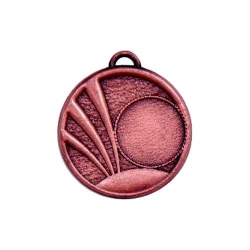 Medalis Z388 - Bronza