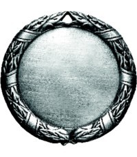 Medalis D8D - Sidabras