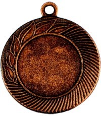 Medalis Z22 - Bronza