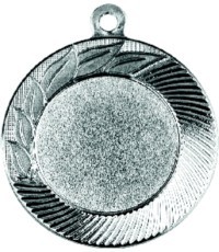 Medalis Z22 - Sidabras
