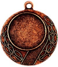 Medalis Z21 - Bronza