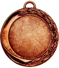 Medalis Z134 - Bronza