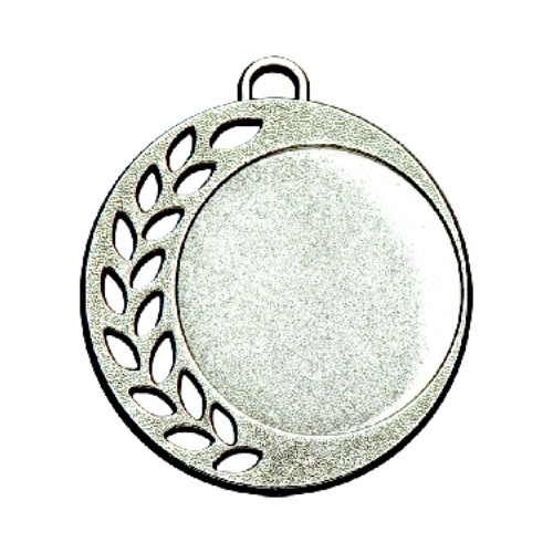Medalis Z147 - Sidabras