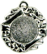 Medalis Z242 - Sidabras