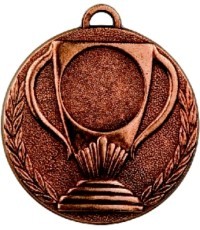 Medalis Z251 - Bronza