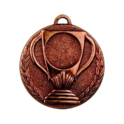 Medalis Z251 - Bronza