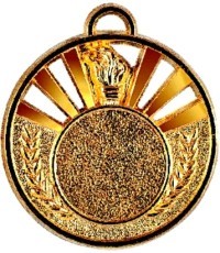 Medalis Z303 - Auksas