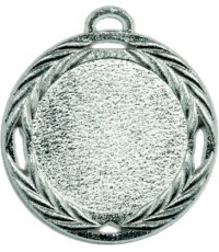 Medalis Z387 - Sidabras