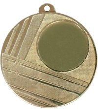 Medalis 253 - Bronza