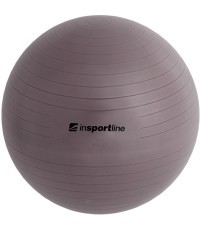Gimnastikos kamuolys + pompa inSPORTline Top Ball 45cm - Pilka