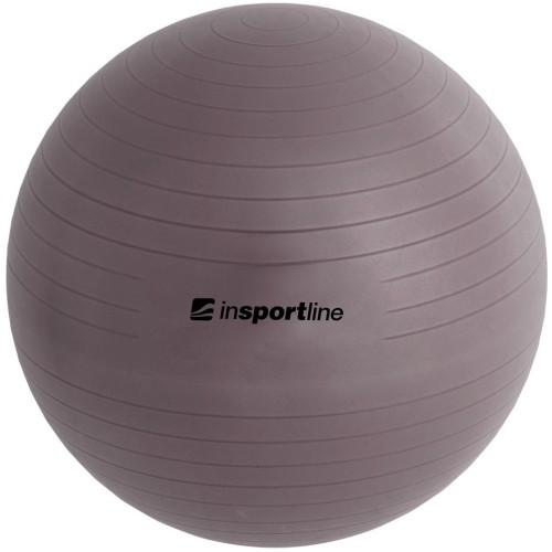Gimnastikos kamuolys + pompa inSPORTline Top Ball 45cm - Pilka