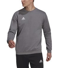 Džemperis Adidas Entrada 22 Sweat Top, pilkas