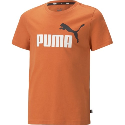 Puma Marškinėliai Paaugliams Ess+ 2 Col Logo Tee Orange 586985 95