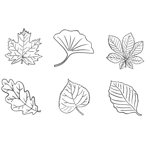 Leaves. Stamps