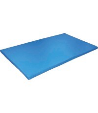 Gymnastics mattress 200x120x10 cm