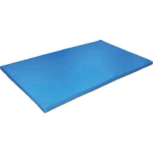 Gymnastics mattress 200x120x10 cm