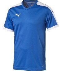 Puma Marškinėliai Paaugliams Pitch Shortsleeved Shirt Blue