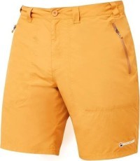 Vyriški šortai Montane Terra Shorts - Tamsiai geltona