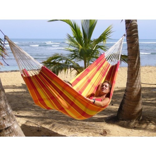 Hammock Amazonas Barbados Papaya