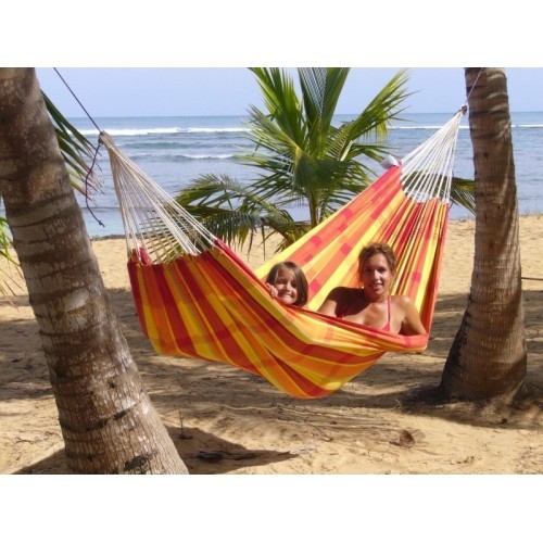 Hammock Amazonas Barbados Papaya
