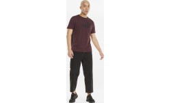 Puma Marškinėliai Vyrams Ess Logo Tee Bordeaux