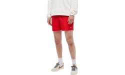 Мужские плавательные шорты Nike Volley Short 5" красные NESSA560 614