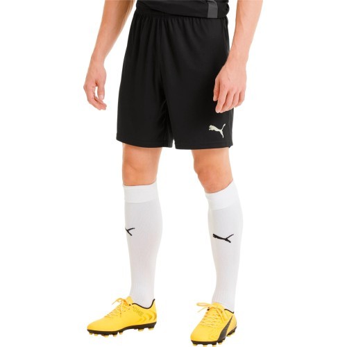 Puma TeamGoal 23 Knit Men's Football Shorts Black 704262 03