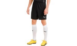 Мужские футбольные шорты Puma TeamGoal 23 Knit, чёрные, 704262 03