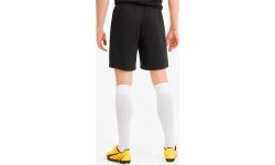 Puma TeamGoal 23 Knit Men's Football Shorts Black 704262 03