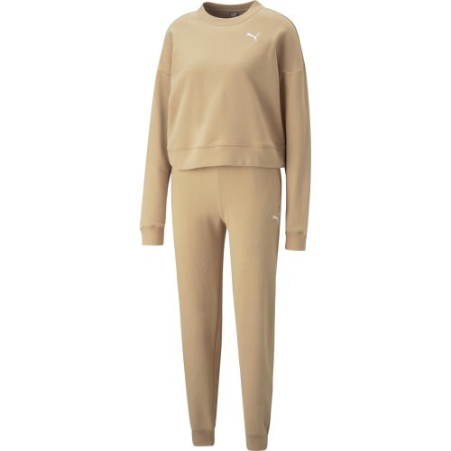 Puma Loungewear Suit Women's Tracksuit Brown 673702 89