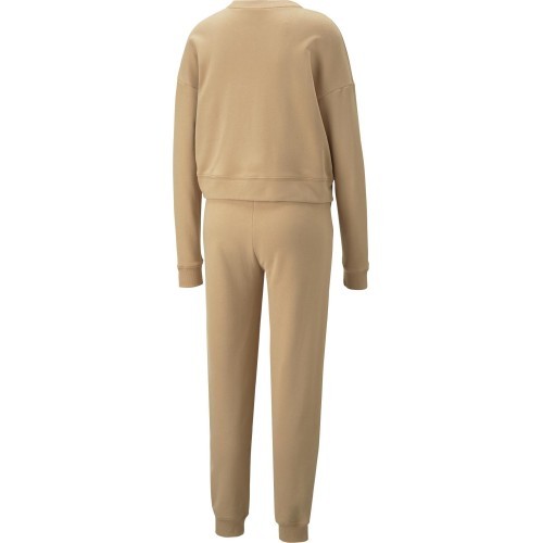 Женский спортивный костюм Puma Loungewear Suit, коричневый 673702 89