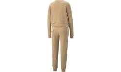 Puma Loungewear Suit Women's Tracksuit Brown 673702 89
