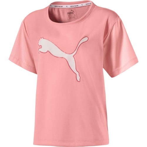Puma подростковая футболка Softsport Graphic Tee Soft Pink 516242 28