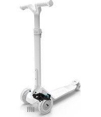 Nexo vairo mechanizmas, mėtinis