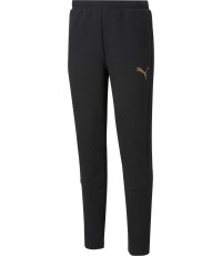 Мужские брюки Puma Evostripe Pants Black 589426 51
