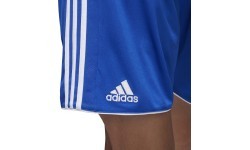 Adidas Tastigo17 football shorts, blue