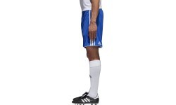 Adidas Tastigo17 football shorts, blue