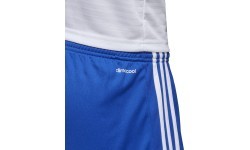 Adidas Tastigo17 football shorts, blue