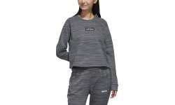 Adidas Džemperis W E Sweat Ft Grey