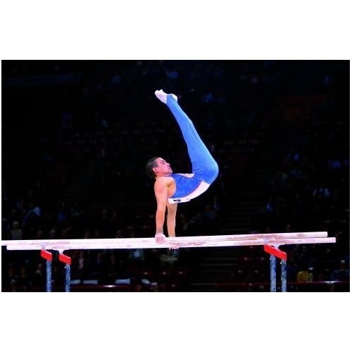 Parallel Bars GYMNOVA FIG For Competitons