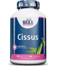 Haya Labs Cissus, 100 капсул