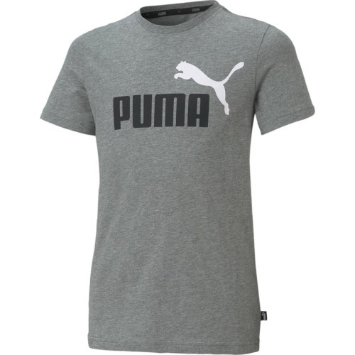 Puma Marškinėliai Paaugliams Ess+ 2 Col Logo Tee Grey 586985 03