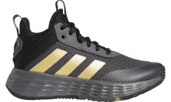 Adidas Ownthegame 2.0 K Grey junior basketball shoes GZ3381