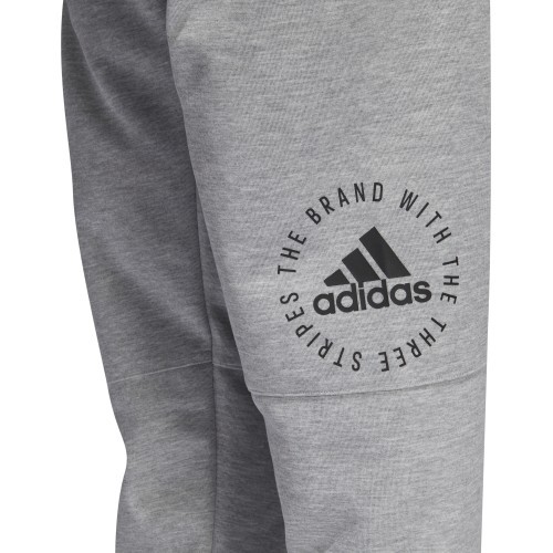 Мужские брюки Adidas Sid Pants, серые DQ1472