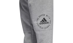 Adidas Kelnės Sid Pants Grey DQ1472