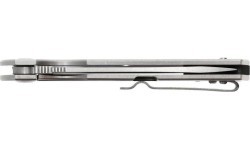 Folding Knife Ganzo Firebird FH12-SS