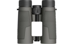 Binoculars Leupold BX-4 Pro Guide HD 10x42